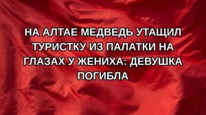 На Алтае медведь утащил туристку из палатки на глазах у жениха: девушка погибла