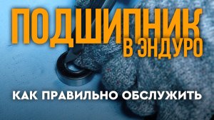 Замена подшипников колеса эндуро: как правильно выпрессовать, смазать и вбить обратно