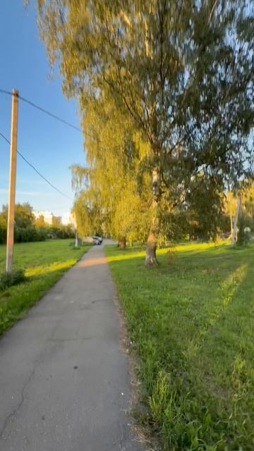 В лучах уходящего дня: прогулка по окраинам Электростали