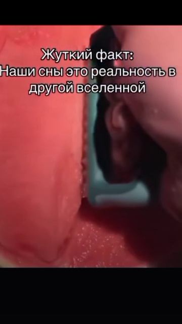 аниме стор 