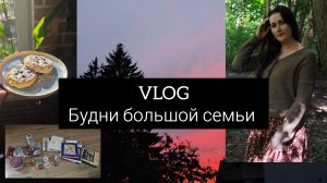 vlog. будни большой семьи