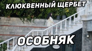 Клюквенный щербет - Особняк Уналов 2026