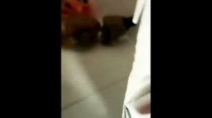 Жуткое видео про Сиреноголового часть2
