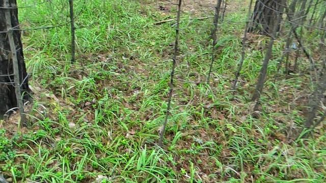 Уехали с Оки.Прогулка по Бору. Приехали на речку Бирюса.
