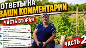 Рассказывай о своей жизни отвечаю на комментарии