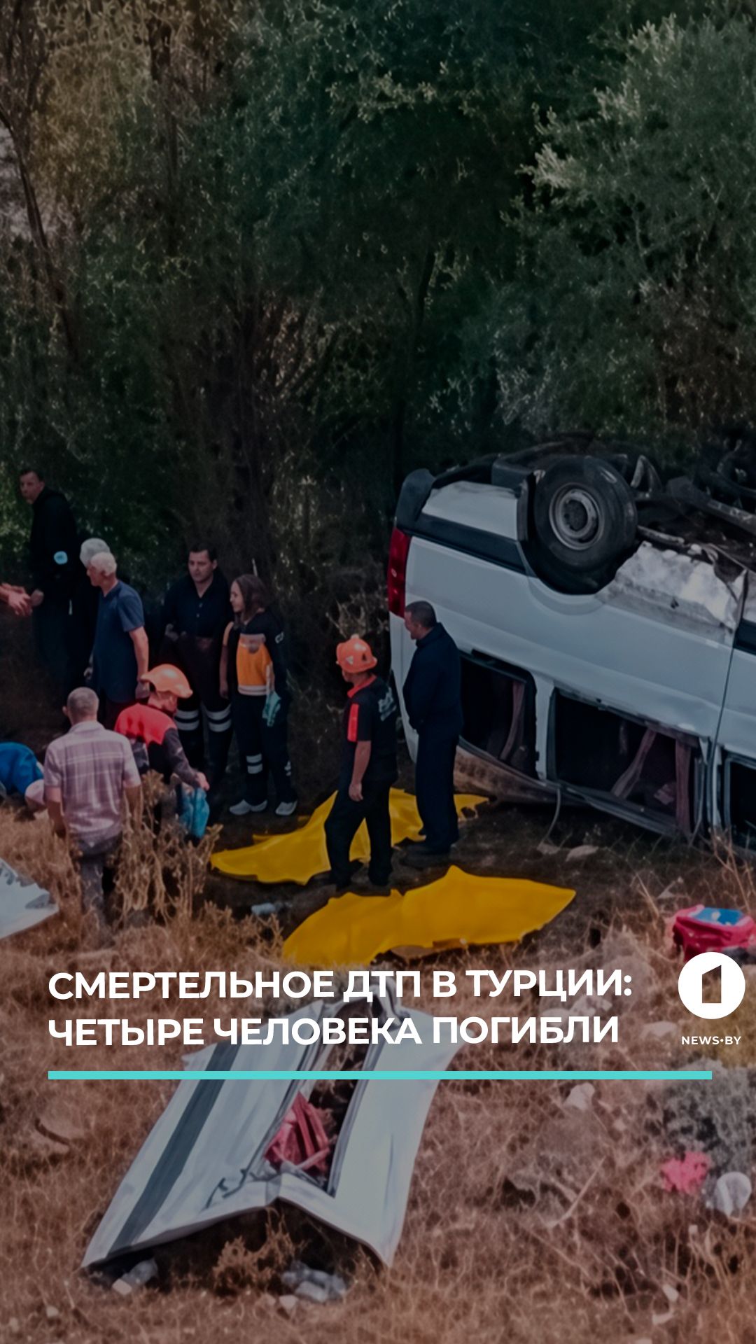 В Турции в результате падения пассажирского микроавтобуса в кювет погибли 4 человека