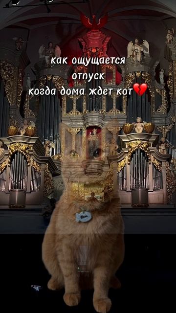 в отпуске но один
