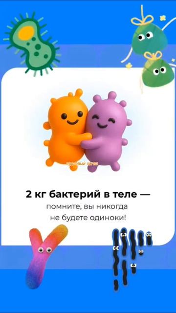 Вместе