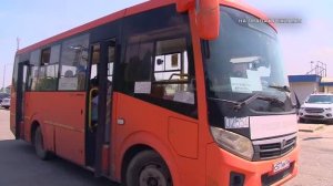 В Воронеже одной бесплатной маршруткой стало больше