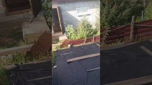 МНЕ КОМФОРТНО С ТАКОЙ ПРИЧЁСКОЙ/НЕМНОГО ПОКУПОК СЕБЕ ЛЮБИМОЙ/ПО СУТИ ЖИВУ ОДНА