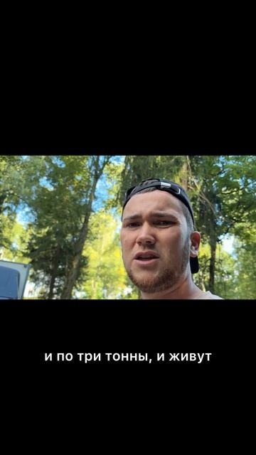 Полный выпуск на канале 😉
