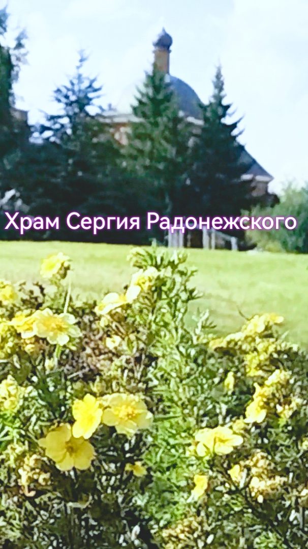 Колокольный звон