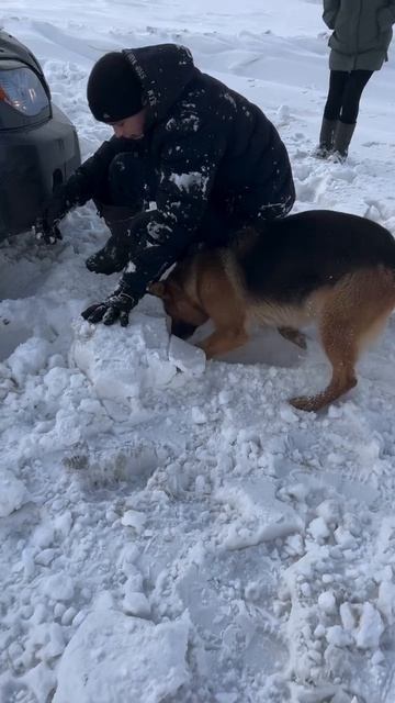 Не, ну как ИХ можно не ЛЮБИТЬ???
