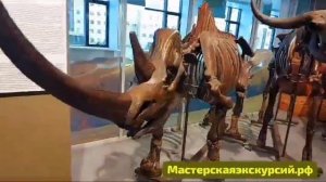1005282437.mp4