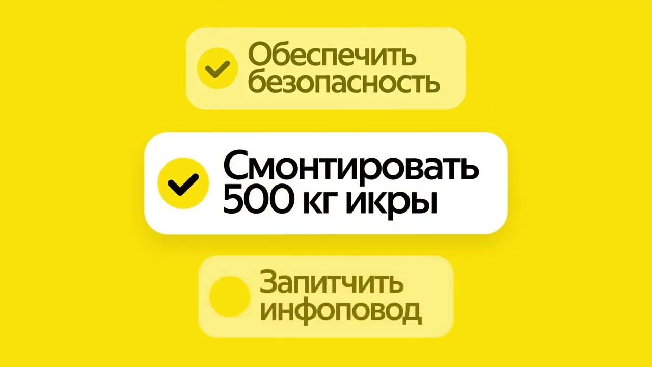 Яндекс Еда X Bluefin