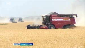 На Ставрополье выросло число обращений в кадровый центр «Работа России»