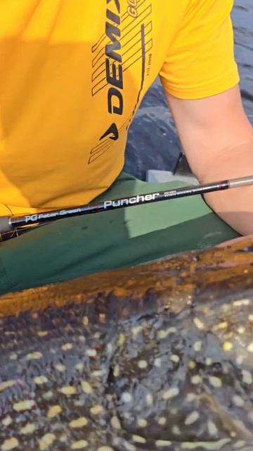 Трофейная щука на 12 кг! Новый спиннинг PeterGreen Puncher #трофейнаярыба #рыбалка #fishing #щука