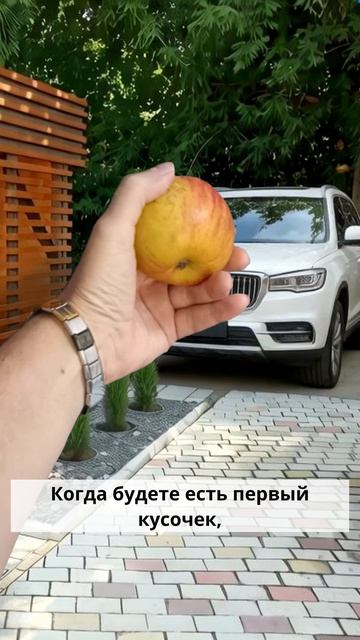 Яблочный Спас