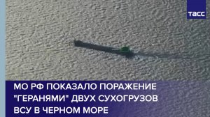 МО РФ показало поражение «Геранями» двух сухогрузов ВСУ в Черном море