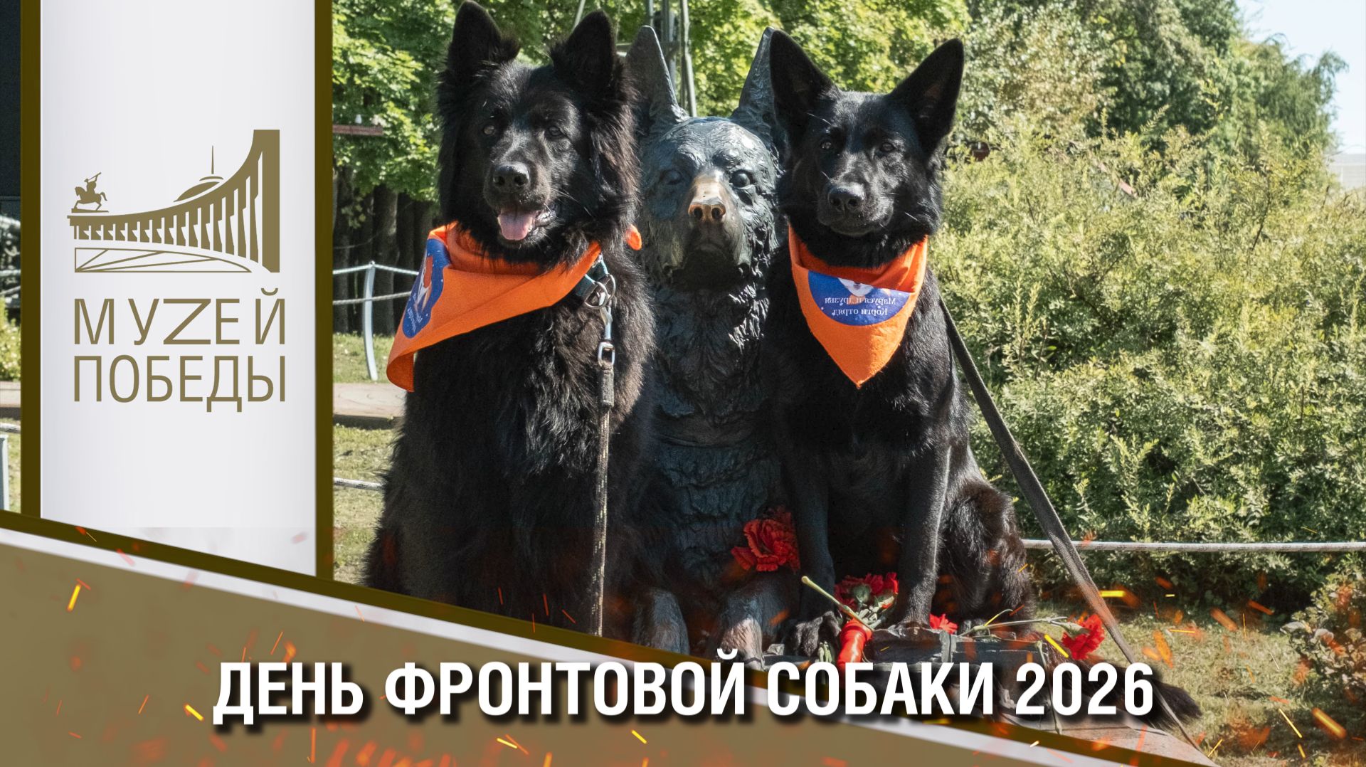 День фронтовой собаки 2026