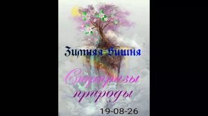 Сюрпризы лета . Что с природой ?