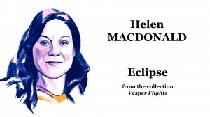Eclipse | Затмение