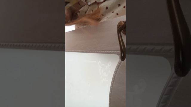 рун тур в Богучарэ🩷🩷