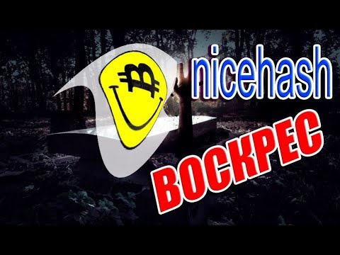 Миллионы майнеров наблюдают за ситуацией с Nicehash Как все  запускалось в одном разговорном видео