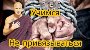 Жизнь научит непривязанности так или иначе