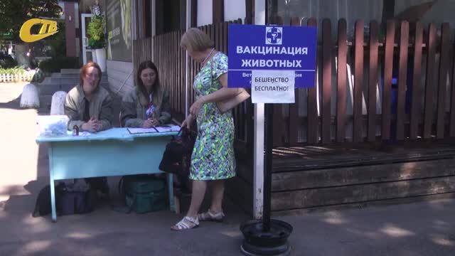 БЕСПЛАТНО ВАКЦИНИРОВАТЬ ДОМАШНИХ ЖИВОТНЫХ ОТ БЕШЕНСТВА В ЖЕЛЕЗНОГОРСКЕ МОЖНО ПО ВОСКРЕСЕНЬЯМ В ВПВ