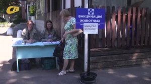БЕСПЛАТНО ВАКЦИНИРОВАТЬ ДОМАШНИХ ЖИВОТНЫХ ОТ БЕШЕНСТВА В ЖЕЛЕЗНОГОРСКЕ МОЖНО ПО ВОСКРЕСЕНЬЯМ В ВПВ