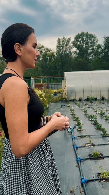 Когда обрезать хризантему и зачем вообще её прищипывают? 🌿