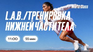 ТРЕНИРОВКА НИЖНЕЙ ЧАСТИ ТЕЛА с Еленой Дубас | 22 августа 2026 | Онлайн-тренировки World Class
