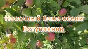 «Носочный блюз осени». Вступление