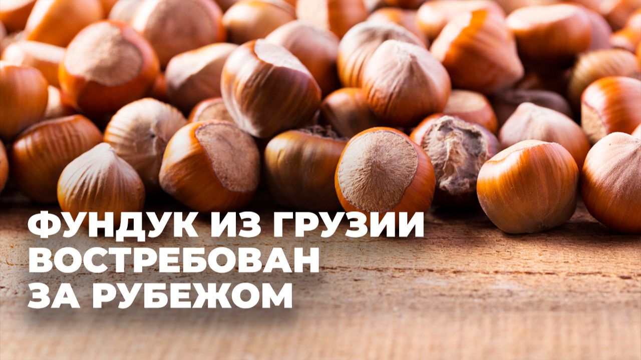 Фундук – один из лидеров среди экспортируемых из Грузии товаров