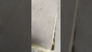 влог на летнюю избушку 5