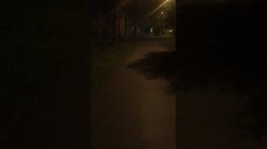 Главный бухгалтер МУП МЖКК ЗАТО Мирный - Часть 4