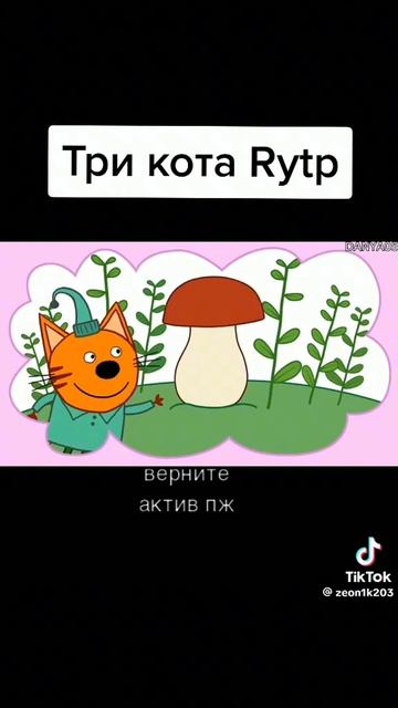 жиза полная