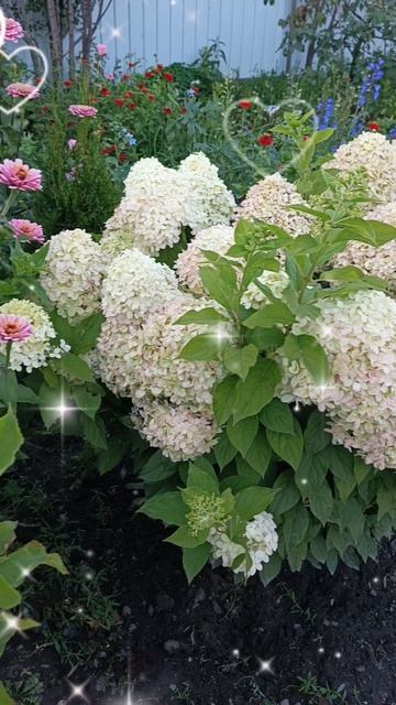 💕Доброе💕 Утро 💕