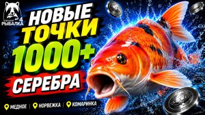 🤑 ТОП-3 ТОЧКИ ФАРМА и РАЗДАЧИ ТРОФОВ РР4 (19.08)! СВОДКА по ВОДОЕМАМ! МЕДНОЕ•НОРВЕЖСКОЕ•КОМАРИНОЕ