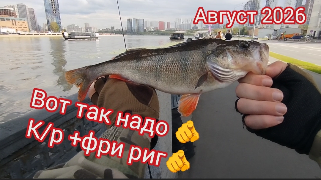 ЛОВЛЯ КРУПНОГО ОКУНЯ! ГДЕ ИСКАТЬ КРУПНОГО ОКУНЯ?!РЫБАЧУ НА СПИННИНГ ОТ 1,5-8ГР