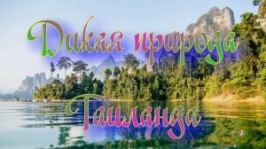 Дикий мир Таиланда
