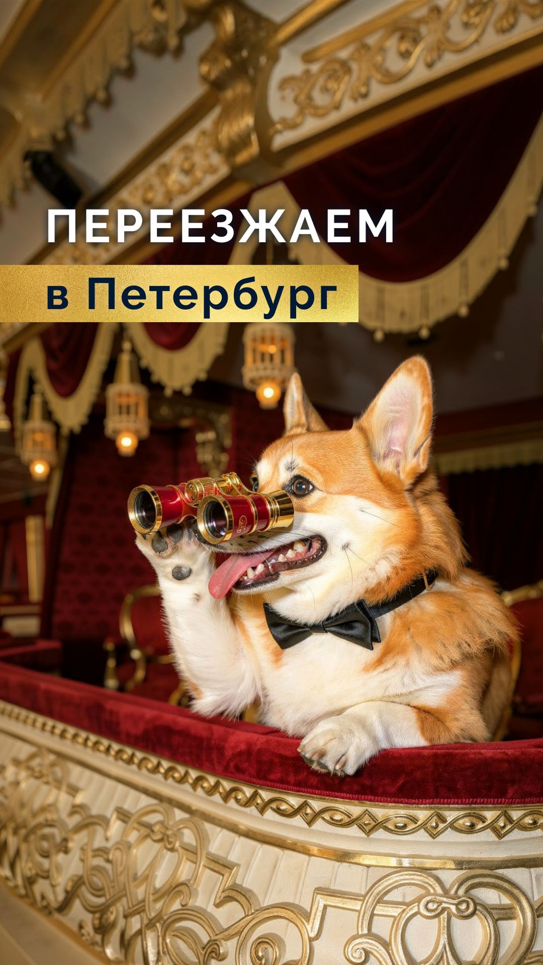 Переезжаем в Петербург