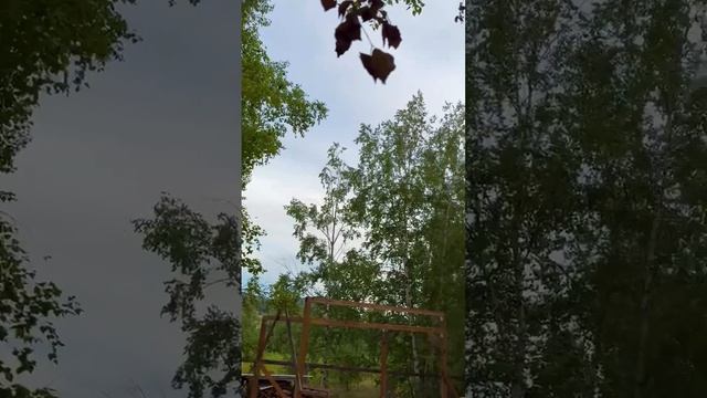 музыка на даче