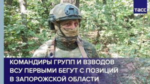 Командиры групп и взводов ВСУ первыми бегут с позиций в Запорожской области