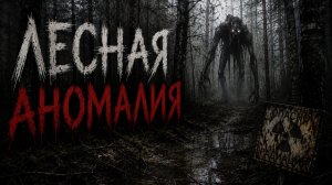 ЛЕСНАЯ АНОМАЛИЯ | Страшные истории #историинаночь #ужасы #жуткиеистории