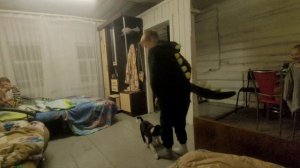 Деревня. Андрей делает полки в шкаф. Дети играют в бадминтон. Андрей косит. Домашние роллы.