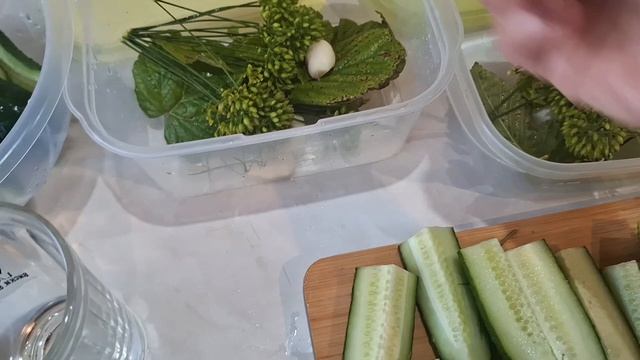 огурчики малосольные на кефире..