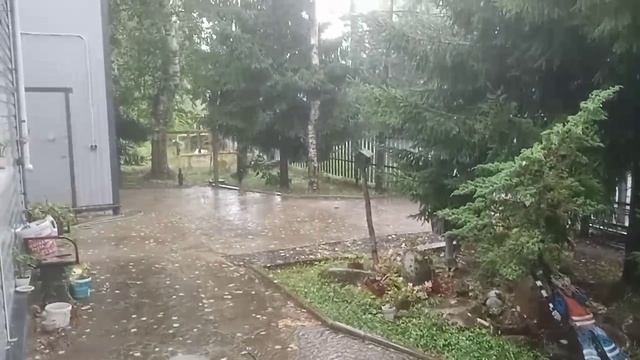 по года .
