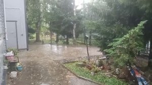 по года .